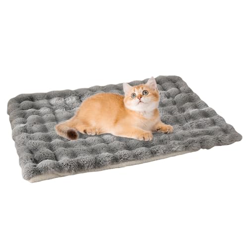 Dog Crate Pad Soft Dog Bed Pad Winter Pet Matte Thermal Dog Pad Cat Warming Pad Cozy Dog Bed Mat Pet Crate Bedding Indoor Cat Mat Warm Pet Bed Kennel Pad For Dogs Soft Sleeping Pad Dog Bed For Crate Dog Crate Pad Soft Dog Bed Pad Winter Pet Matte Thermal Dog Pad Cat Warming Pad Cozy Dog Bed Mat Pet Crate Bedding Indoor Cat Mat Warm Pet Bed Kennel Pad For Dogs Soft Sleeping Pad Dog Bed For Crate von Generisch