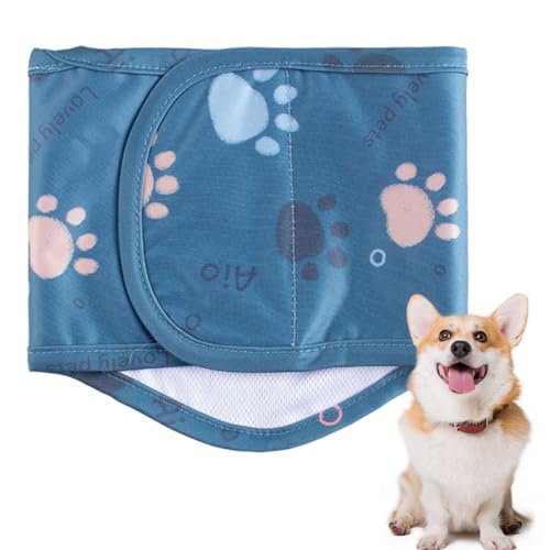 Dog Diapers, Washable Male Dog Belly Band, 0.1x10.24 Inches Waterproof Soft Comfortable Wrap, Reusable Pet Pants for Housebreaking Marking Control, Small Dogs, Indoor and Outdoor Dog Diapers, Washable Male Dog Belly Band, 0.1x10.24 Inches Waterproof Soft Comfortable Wrap, Reusable Pet Pants for Housebreaking Marking Control, Small Dogs, Indoor and Outdoor von Generisch