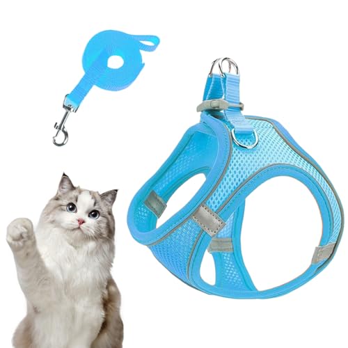 Dog Harness Leash Set, Medium Size Pet Vest, Puppies Kitten Cat Gear with Reflective Straps, Safety Walking Equipment for Hiking Camping Trips Veterinary Visits Outdoor Adventure Exercise Dog Harness Leash Set, Medium Size Pet Vest, Puppies Kitten Cat Gear with Reflective Straps, Safety Walking Equipment for Hiking Camping Trips Veterinary Visits Outdoor Adventure Exercise von Generisch