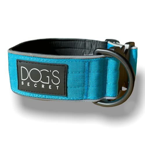 Dog’s Secret Hundehalsband ◆ für große Hunde ◆ L (55 – 65 cm) 5 cm Breit ◆ Leuchtend ◆ Blau von Generisch