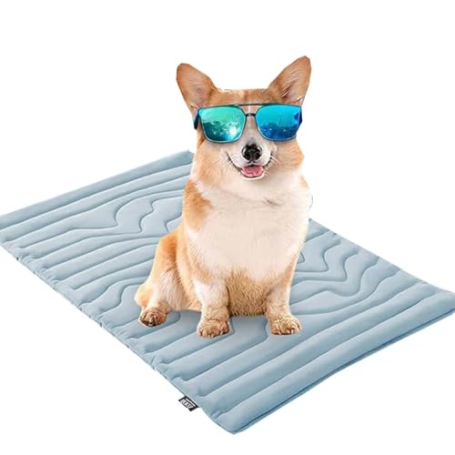 Dr.Pfoten Pfotenchill Die Innovative Kühlmatte Für Hunde Flauschig Hundedecke Waschbar Hundematte Hundekissen Weiches und Warmes für Kleine Mittelgroße Grosse Hunde Decke von Generisch