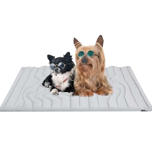 Dr.Pfoten Pfotenchill Die Innovative Kühlmatte Für Hunde Flauschig Hundedecke Waschbar Hundematte Hundekissen Weiches und Warmes für Kleine Mittelgroße Grosse Hunde Decke von Generisch
