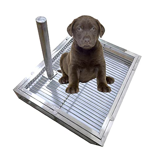 Edelstahl Hund Töpfchen Toilette für drinnen und draußen, Haustiertoilette Matte Halter mit Schutzsäule, hält Pfoten trocken und Böden sauber für männliche Hunde Edelstahl Hund Töpfchen Toilette für drinnen und draußen, Haustiertoilette Matte Halter mit Schutzsäule, hält Pfoten trocken und Böden sauber für männliche Hunde von Generisch