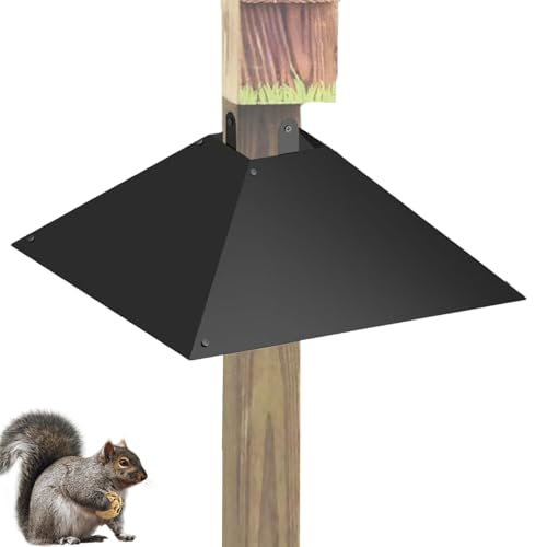 Eichhörnchen -Schuss für den Vogelhilfepol, Vogelhilfeerleiter für Stange - Edelstahl Vogelhändler Eichhörnchen Baffle - Holzpolgartenzubehör Schwer dienstfrei 17 Zoll Tiersicher für Vogelhäuser Eichhörnchen -Schuss für den Vogelhilfepol, Vogelhilfeerleiter für Stange - Edelstahl Vogelhändler Eichhörnchen Baffle - Holzpolgartenzubehör Schwer dienstfrei 17 Zoll Tiersicher für Vogelhäuser von Generisch