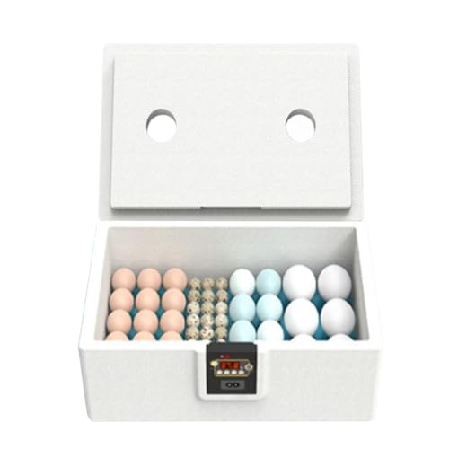 Eier Inkubator,Brutgerät Für Schildkröten 10-25 Eier - Rundum-Isolierte Brutbox Wärmebox Mit Geflügelfarm-Funktion Für Puten Und Enten Eier Inkubator,Brutgerät Für Schildkröten 10-25 Eier - Rundum-Isolierte Brutbox Wärmebox Mit Geflügelfarm-Funktion Für Puten Und Enten von Generisch