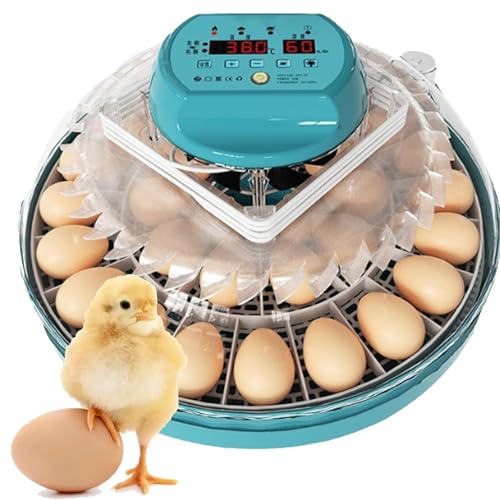 Eierbrüter, 15 Eier, automatische Feuchtigkeitskontrolle und Eierdrehung, Temperaturregelung für Bruthühner, Wachteln und Vögel von Generisch