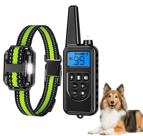 Erziehungshilfen,Agility-Ausrüstung,Ideal auch für Agility-Training.Praktische Hundeerziehungshilfen,Das Hundetraining-Zubehör ist robust und langlebig und eignet Sich für Hunde jeder Größe. (e7) Erziehungshilfen,Agility-Ausrüstung,Ideal auch für Agility-Training.Praktische Hundeerziehungshilfen,Das Hundetraining-Zubehör ist robust und langlebig und eignet Sich für Hunde jeder Größe. (e7) von Generisch