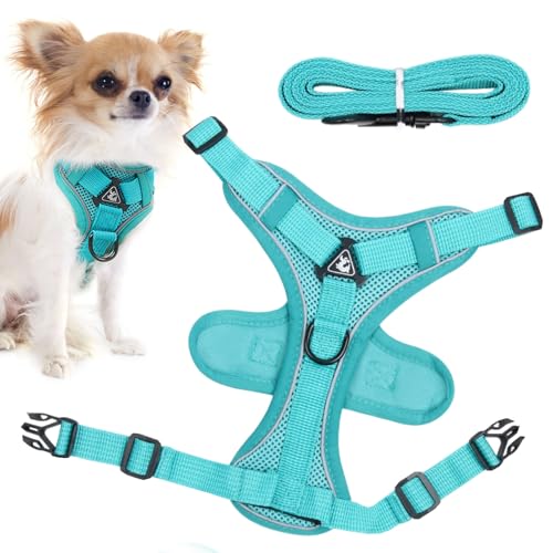 Escape-Proof Cat Harness, Reflective Kitten Lead Set, Comfortable Walking Harness for Kittens and Puppies, Safe Outdoor Adventures, 9.06x7.48x0.79 Inches, 11.42x8.66x0.79 Inches von Generisch