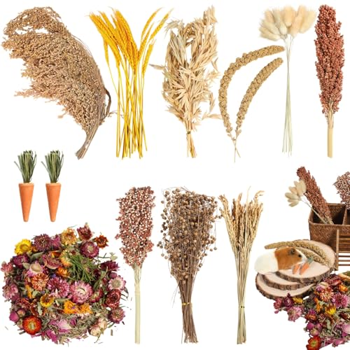 Essbares Kräuterspray Hamstereinstreu, Trockenblumen, Getreide & Samen, Lebensraum für syrische Zwergenrennmäuse, Meerschweinchen Essbares Kräuterspray Hamstereinstreu, Trockenblumen, Getreide & Samen, Lebensraum für syrische Zwergenrennmäuse, Meerschweinchen von Generisch