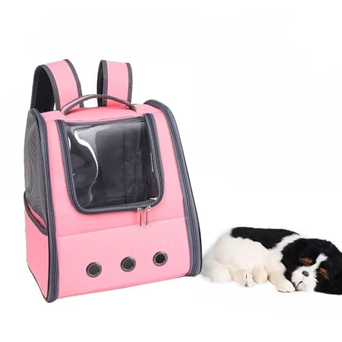 Faltbarer Haustier-Rucksack – tragbare, faltbare Katzentragetasche, einfaches und modisches Design, Haustiergepäck für Reisen, Spazierengehen, Ausgehen, Autofahren Faltbarer Haustier-Rucksack – tragbare, faltbare Katzentragetasche, einfaches und modisches Design, Haustiergepäck für Reisen, Spazierengehen, Ausgehen, Autofahren von Generisch