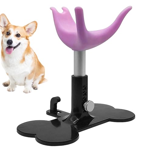 Fellpflegesessel für Hunde, höhenverstellbar, rutschfest, zum Baden, Duschen, Trimmen Fellpflegesessel für Hunde, höhenverstellbar, rutschfest, zum Baden, Duschen, Trimmen von Generisch