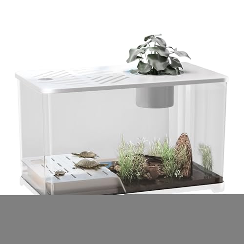 Fischbecken - Großes Aquarium-Set Schreibtisch Fischbecken | Modernes Becken mit Ruhezone für Schildkröten Zierdekor für Kampffisch Aquarienpflanzen Tischzubehör Fischbecken - Großes Aquarium-Set Schreibtisch Fischbecken | Modernes Becken mit Ruhezone für Schildkröten Zierdekor für Kampffisch Aquarienpflanzen Tischzubehör von Generisch