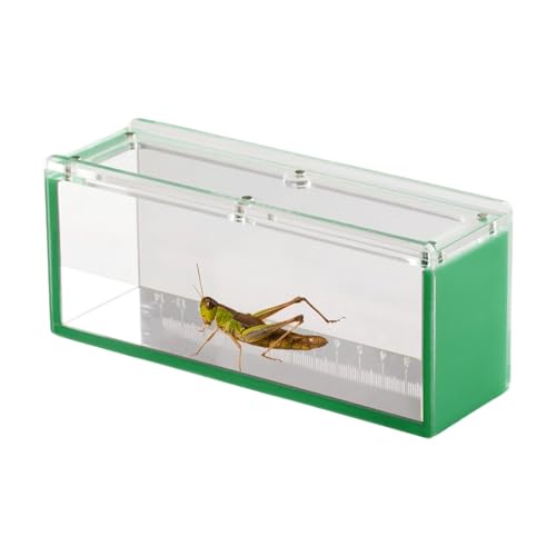 Fischbeobachtungsbox - Acryl Fischbeobachtungskoffer mit Deckel | Aquatic Isolation Breeder Box für Krabben, Schnecken, Spinnen von Generisch