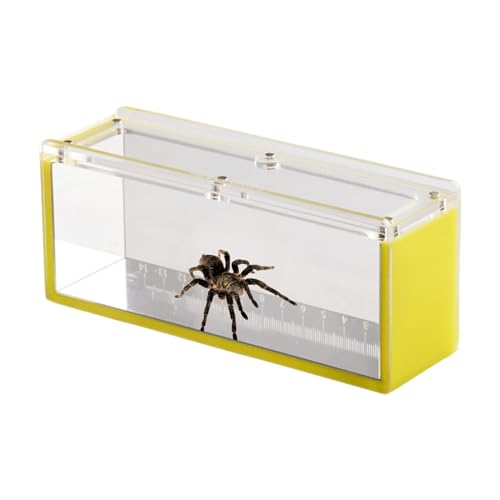 Fischbeobachtungsfall, Acrylfisch -Zuchtbox,Acrylfisch -Betrachtungsfall mit Deckel - Züchterbox für Wasserisolation für Krabben, Schnecken, Spinnen von Generisch