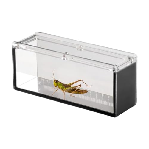 Fischbeobachtungskoffer - Acryl Fischbeobachtungskoffer mit Deckel - Aquatic Isolation Breeder Box für Krabben, Schnecken, Spinnen von Generisch