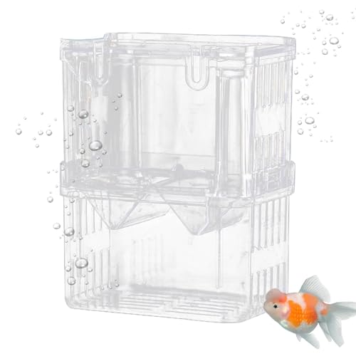 Fischgeburtsbecken – Aquarium-Züchterbox | Baby-Fischtrenner für Tank | Inkubator mit Saugnäpfen Baby-Trennwand für | Aquariumzuchtbehälter | Zuchtisolierung von Generisch