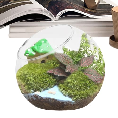 Fischschalenvase, Glaspflanzenterrarium | Glas-Blumentopf-Terrarium-Glas | Luftpflanzenhalter, Terrarientank, Pflanzschale, Vase, Heimdekoration, Herzstück Saftige Miniatur-Moos-Luftpflanzen von Generisch