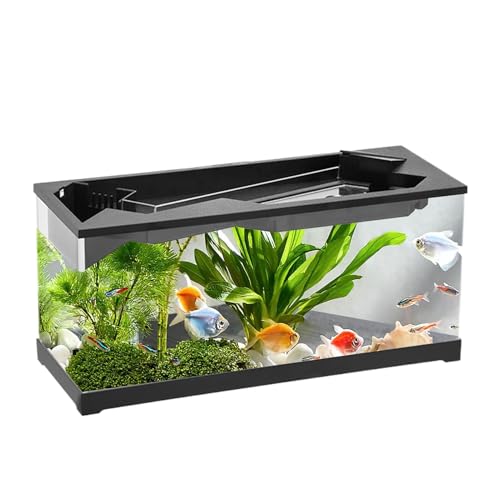 Fischtank - Acryl Clear Desk Aquarium mit Filter | Aquariumtanks | 6 Fisch -Terrarium -Starter -Kits mit Luftpumpe für Tischplatten, Wohnzimmer, Studio, Zuhause von Generisch