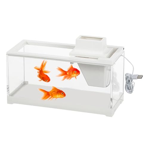 Fischtank - Transparentes -Aquarium, LED -LED -Desktop -Tank mit niedriger Spannung | Leckfestes, ruhig beleuchtetes Aquarium mit Deckel für Schlafzimmer, Büroschmelzungen, Wohnzimmerrega von Generisch