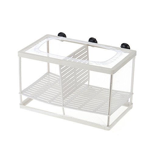 Fischzucht Brutkasten Netz Hängende Frittieren Baby Fisch Brutkasten Isolation Box Aquarium Zubehör XL Fischzucht Brutkasten Netz Hängende Frittieren Baby Fisch Brutkasten Isolation Box Aquarium Zubehör XL von Generisch