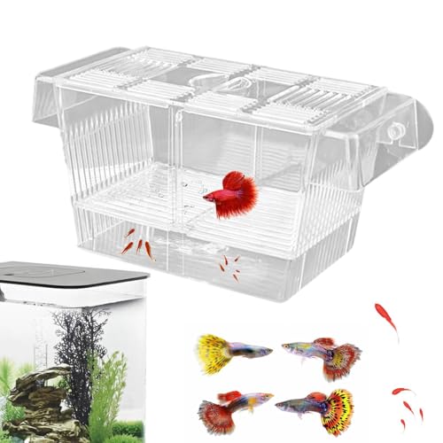Fischzuchtbox, Trennwand Für Schleppnetztanks, Bruttank Aus Acryl, Leicht, Robust, 12,5 * 7 * 7 cm / 4,92 * 2,76 * 2,76 Zoll, Für Zuchtbox Fischzuchtbox, Trennwand Für Schleppnetztanks, Bruttank Aus Acryl, Leicht, Robust, 12,5 * 7 * 7 cm / 4,92 * 2,76 * 2,76 Zoll, Für Zuchtbox von Generisch