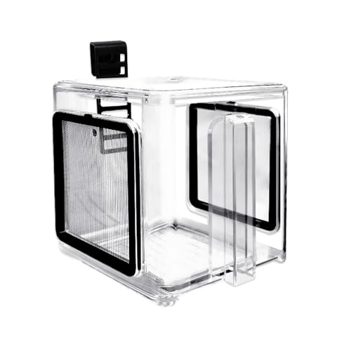 Fischzuchtbox,Aufhängbares Aquarium Aufzuchtbecken | Aquariumzubehör Mit Acryl-Trennwand Zur Aufzucht Und Abschirmung Für Süßwasser Guppys Fischzuchtbox,Aufhängbares Aquarium Aufzuchtbecken | Aquariumzubehör Mit Acryl-Trennwand Zur Aufzucht Und Abschirmung Für Süßwasser Guppys von Generisch