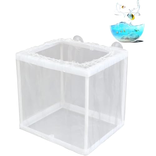 Fischzuchtbox - Fissh Inkubator Mesh Boxs, Juvenile Fishh Separation Net, Aquarium Breeder Boxx | Aquarien Fischabscheider, Saugnapfbecher -Tank Incubatorr für Guppy, clonfish, Betta, Cichlids Fischzuchtbox - Fissh Inkubator Mesh Boxs, Juvenile Fishh Separation Net, Aquarium Breeder Boxx | Aquarien Fischabscheider, Saugnapfbecher -Tank Incubatorr für Guppy, clonfish, Betta, Cichlids von Generisch