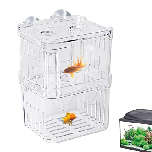Fischzuchtbox – Isolationsbox für die Fischzucht aus Acryl | Acryl-Tank-Trennwand | 2 Saugnäpfe Aquarium Brüterei Inkubator | Aquarium für Zuhause, Büros Fischzuchtbox – Isolationsbox für die Fischzucht aus Acryl | Acryl-Tank-Trennwand | 2 Saugnäpfe Aquarium Brüterei Inkubator | Aquarium für Zuhause, Büros von Generisch