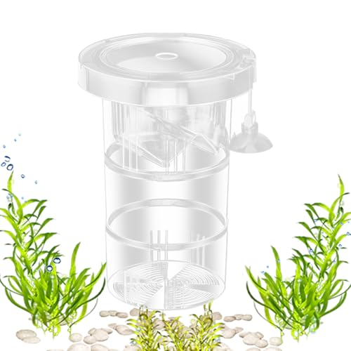 Fischzuchtbox | Transparente Züchterbox | Schwimmende Fischzuchttanks | Schwimmende Fisch-Isolationsbox | Isolation Feinmaschiger runder Inkubator für Salzwasser Aquatic Laichen Fischzuchtbox | Transparente Züchterbox | Schwimmende Fischzuchttanks | Schwimmende Fisch-Isolationsbox | Isolation Feinmaschiger runder Inkubator für Salzwasser Aquatic Laichen von Generisch