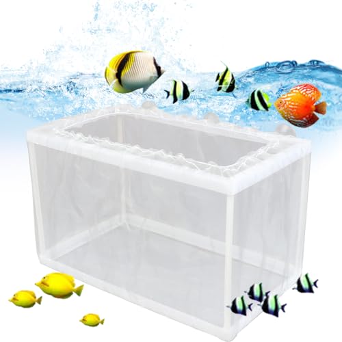 Fischzüchterbox - Aquarium Hatcher | Juvenile Fish Trennung Netz für Fry | Tank Inkubatorbox mit Saugnäpfeln, ideal für die Brutfischbrüge und die sichere Braten in Heimaquarien Fischzüchterbox - Aquarium Hatcher | Juvenile Fish Trennung Netz für Fry | Tank Inkubatorbox mit Saugnäpfeln, ideal für die Brutfischbrüge und die sichere Braten in Heimaquarien von Generisch