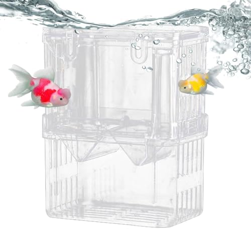 Fish Breeding Box, Small Large Tank Aquarium, Breeding Box for Fish Tank for Guppy,Tropical Fish, Fry Isolation,Double Layer Isolation Net,Floating Fish Incubator with Suction Cups Fish Breeding Box, Small Large Tank Aquarium, Breeding Box for Fish Tank for Guppy,Tropical Fish, Fry Isolation,Double Layer Isolation Net,Floating Fish Incubator with Suction Cups von Generisch