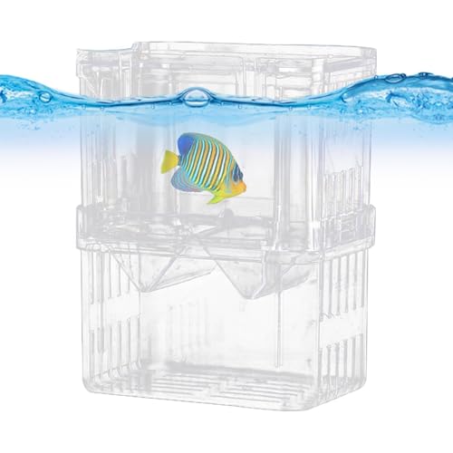 Fish Breeding Box, Small Large Tank Aquarium, Breeding Box for Fish Tank for Guppy,Tropical Fish, Fry Isolation,Double Layer Isolation Net,Floating Fish Incubator with Suction Cups Fish Breeding Box, Small Large Tank Aquarium, Breeding Box for Fish Tank for Guppy,Tropical Fish, Fry Isolation,Double Layer Isolation Net,Floating Fish Incubator with Suction Cups von Generisch