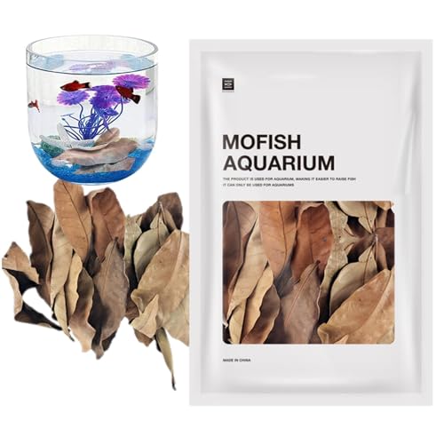 Fish Resting Longan Leaf – Natürlicher Wasseraufbereiter für Aquarienfische, organische Aquariumblätter, dekorative Tankblatt-Versorgung für Betta-Ruheplatz, Wasserlebensraum-Anreicherung für Zucht Fish Resting Longan Leaf – Natürlicher Wasseraufbereiter für Aquarienfische, organische Aquariumblätter, dekorative Tankblatt-Versorgung für Betta-Ruheplatz, Wasserlebensraum-Anreicherung für Zucht von Generisch