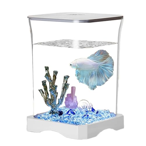 Fish Tank - Aquarium | Rectangular Small LED Betta Fish Aquarium Starter Kit for Tabletop, Decoration, Beginners, Betta Tank Starter Kit for Tabletop, Home Decor von Generisch