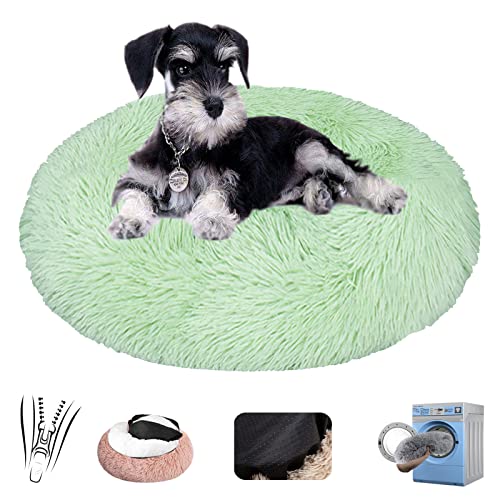 Flauschiges Plüsch-Haustierbett in Donut-Form für verbesserten Schlaf, rundes warmes Welpen-Sofa mit rutschfester Unterseite, abnehmbar und maschinenwaschbar, beruhigendes Bett für kleine, mittelgroße Flauschiges Plüsch-Haustierbett in Donut-Form für verbesserten Schlaf, rundes warmes Welpen-Sofa mit rutschfester Unterseite, abnehmbar und maschinenwaschbar, beruhigendes Bett für kleine, mittelgroße von Generisch