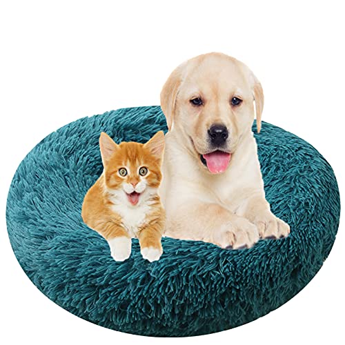 Flauschiges Plüsch-Hundebett in Donut-Form, waschbar, beruhigendes Haustierbett mit warmem Kissen für Katzen, rutschfeste Unterseite, abnehmbarer Bezug, Cyan, 90 cm Flauschiges Plüsch-Hundebett in Donut-Form, waschbar, beruhigendes Haustierbett mit warmem Kissen für Katzen, rutschfeste Unterseite, abnehmbarer Bezug, Cyan, 90 cm von Generisch
