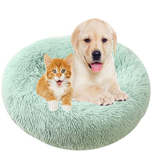 Flauschiges Plüsch-Hundebett mit waschbarem beruhigendem Kissen, rutschfeste Unterseite, Grün, Ø 120 cm Flauschiges Plüsch-Hundebett mit waschbarem beruhigendem Kissen, rutschfeste Unterseite, Grün, Ø 120 cm von Generisch