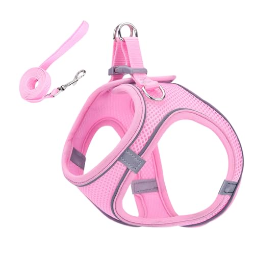 Fluchtsicheres Katzen Geschirr,Weiches Mesh-Geschirr Mit Reflektierenden Sicherheitsstreifen - Klein Mittel Groß Haustierzubehör Für Reisen Outdoor Fluchtsicheres Katzen Geschirr,Weiches Mesh-Geschirr Mit Reflektierenden Sicherheitsstreifen - Klein Mittel Groß Haustierzubehör Für Reisen Outdoor von Generisch