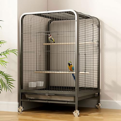 Flugkäfig für kleine Papageien DIY Indoor/Outdoor mit Rädern - Abnehmbares Tablett & Reise Vogelkäfig für Kanarienvögel, Nymphensittiche, Lovebird - Wellensittiche Finken Vogelkäfige Flugkäfig für kleine Papageien DIY Indoor/Outdoor mit Rädern - Abnehmbares Tablett & Reise Vogelkäfig für Kanarienvögel, Nymphensittiche, Lovebird - Wellensittiche Finken Vogelkäfige von Generisch