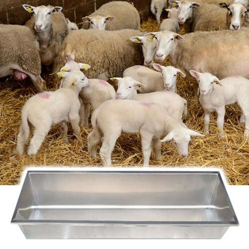 Futter- und Bewässerungstrog aus Edelstahl – leicht zu reinigen, langlebig für Nutztiere, tragbares Design verbessert die Effizienz des Bauernhofs von Generisch