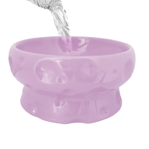Futternapf für Katzen, Futternapf, Wasser-Futterstation – erhöhter rutschfester Keramik-Käseform, Haustierzubehör für Küche, trocken, nass, Kätzchen, Zuhause, Hund, Hydratation Futternapf für Katzen, Futternapf, Wasser-Futterstation – erhöhter rutschfester Keramik-Käseform, Haustierzubehör für Küche, trocken, nass, Kätzchen, Zuhause, Hund, Hydratation von Generisch