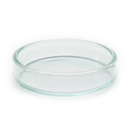 Futterschale aus Glas 40x8mm für Aquarium & Terrarium > Garnelen, Schnecken, Welse... | Echtglas Futter Schale zum geziehlten füttern | KEIN Acryl/Plastik sondern Laborglas! 6 Größen Futterschale aus Glas 40x8mm für Aquarium & Terrarium > Garnelen, Schnecken, Welse... | Echtglas Futter Schale zum geziehlten füttern | KEIN Acryl/Plastik sondern Laborglas! 6 Größen von Generisch