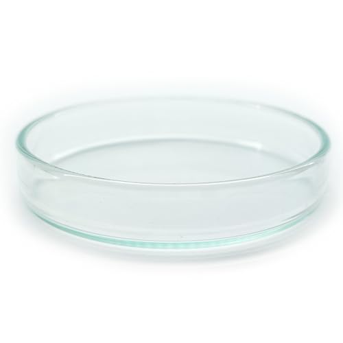 Futterschale aus Glas 60mm für Aquarium & Terrarium > Garnelen, Schnecken, Welse UVM. | Echtglas Futter Schale zum geziehlten füttern | KEIN Acryl/Plastik sondern Laborglas! von Generisch
