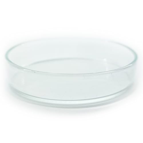 Futterschale aus Glas 75x16mm !6 Größen! für Aquarium & Terrarium > Garnelen, Schnecken, Welse... | Echtglas Futter Schale zum geziehlten füttern | KEIN Acryl/Plastik sondern Laborglas! Futterschale aus Glas 75x16mm !6 Größen! für Aquarium & Terrarium > Garnelen, Schnecken, Welse... | Echtglas Futter Schale zum geziehlten füttern | KEIN Acryl/Plastik sondern Laborglas! von Generisch