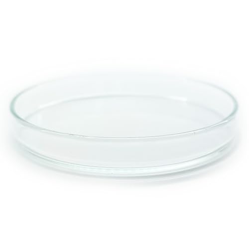 Futterschale aus Glas 80x11mm für Aquarium & Terrarium > Garnelen, Schnecken, Welse... | Echtglas Futter Schale zum geziehlten füttern | KEIN Acryl/Plastik sondern Laborglas! 6 Größen Futterschale aus Glas 80x11mm für Aquarium & Terrarium > Garnelen, Schnecken, Welse... | Echtglas Futter Schale zum geziehlten füttern | KEIN Acryl/Plastik sondern Laborglas! 6 Größen von Generisch