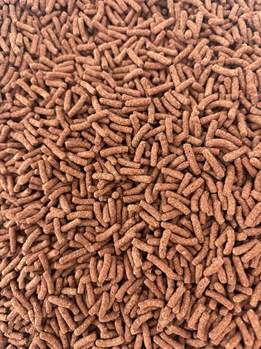 Futtersticks für Cichliden – Premium Hauptfutter für gesunde & farbenprächtige Fische (5000 Gramm) von Generisch