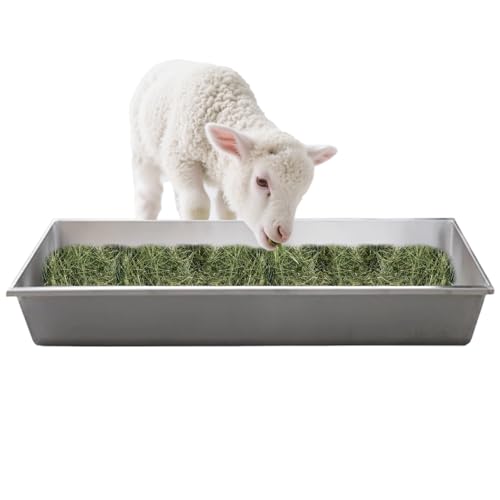 Futtertrog für Geflügel – Edelstahl Vieh Heu Futterspender & Trinker für Schweine, Ziegen, Schafe & Kälber – Haltbare Tierfütterung Wanne Trog Futtertrog für Geflügel – Edelstahl Vieh Heu Futterspender & Trinker für Schweine, Ziegen, Schafe & Kälber – Haltbare Tierfütterung Wanne Trog von Generisch