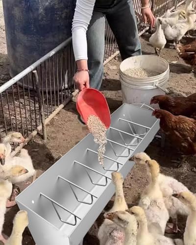 Futtertrog für Hühner, Entenschwein, langlebig, freistehend, für Geflügel, abfallsicheres Design für effiziente Fütterung von Generisch