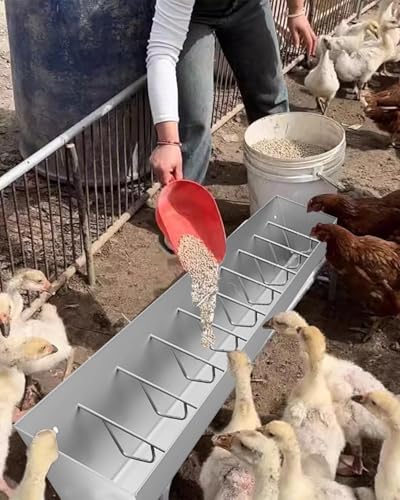 Futtertrog für Hühner, Entenschwein, langlebig, freistehend, für Geflügel, abfallsicheres Design für effiziente Fütterung von Generisch