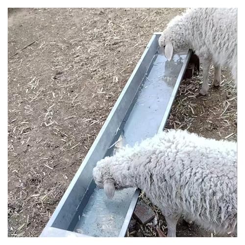 Futtertrog für Nutztiere, robustes und leicht zu reinigendes Design für Rinder und Schafe, Heu und Wasserfütterung Futtertrog für Nutztiere, robustes und leicht zu reinigendes Design für Rinder und Schafe, Heu und Wasserfütterung von Generisch
